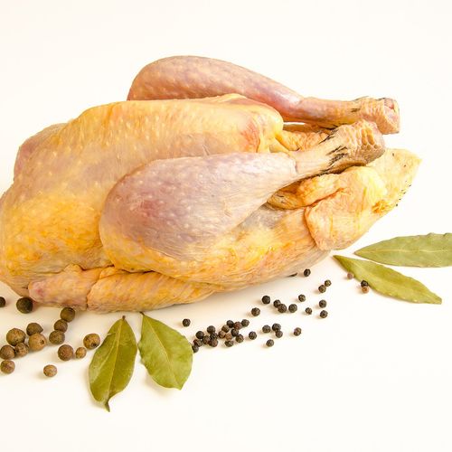 Guinea Fowl