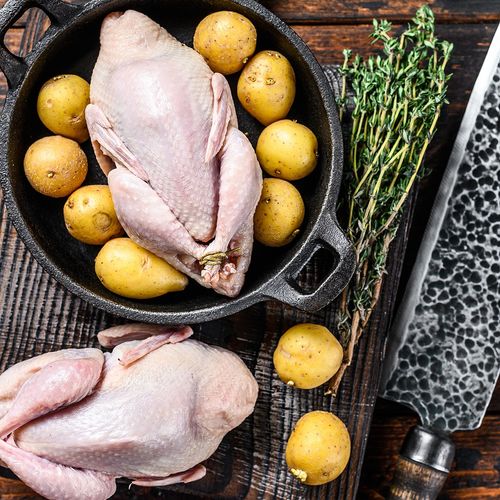 Partridge